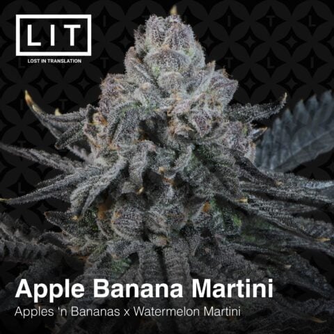 Apple Banana Martini Watermelon Martini Drop F Buy Cannabis Seeds