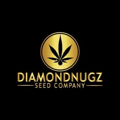 Diamondnugz Thunderstruck CBD