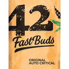 Original Auto Critical FastBuds