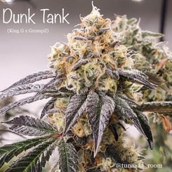 Close-up of a frosty cannabis bud labeled "Dunk Tank (R)" with leaves covered in a whitish resin. Social media handle @tunaaa_room is visible.