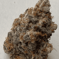 Close-up of a dried Wango Bango (R) cannabis bud with dense, frosty trichomes and brownish-orange hairs.