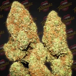 Close-up image of dense Gorilla Gas Auto marijuana buds with visible trichomes and orange-brown hairs, set against a background featuring the "Tastebudz" logo in repeated patterns.