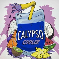 Illustration of a beverage pouch labeled "Calypso Cooler (R)" surrounded by sliced fruits including dragon fruit, coconut, watermelon, kiwi, starfruit, and grapes with a purple splash background.