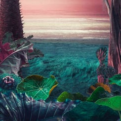 Surreal landscape featuring large leaves and plants in the foreground, reminiscent of the tropical wonders found in a Tropical Thunder Auto Multipack, with a shimmering shoreline and a colorful sky in the background.