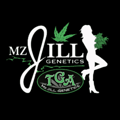 MZ Jill Logo cannabis seeds marijuana seeds weed seeds