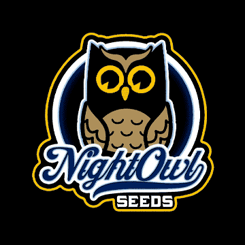 Night Owl Logo