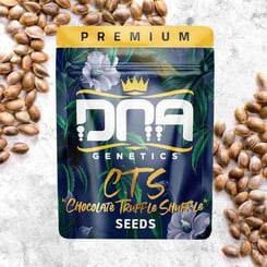 DNA Genetics C.T.S AKA “CHOCOLATE TRUFFLE SHUFFLE”