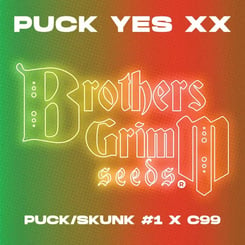 Brother's Grimm Puck-Yes-Strain