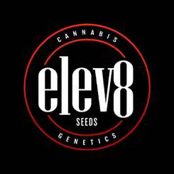 Elev8 Logo cannabis seeds, marijuana seeds, weed seeds