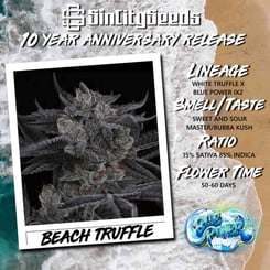 Image features information about SinCitySeeds' 10 Year Anniversary Release for a strain called Beach Truffle (R) [LIMITED]. It includes lineage, smell/taste, ratio, and flower time alongside a photo of the strain.