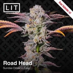 LIT Farms Road Head