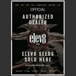 Promotional poster for Elev8 Seeds, an authorized dealer. The text reads, "Elev8 Seeds sold here" with the website URL www.elev8seeds.com included. Various seed strains are listed at the top and bottom. elev8 Posters- 2 Pack available for display.