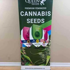 A Royal Queen Seeds Standing Banner advertising their premium feminized cannabis seeds, showcasing various seed varieties and their distinctive packaging.