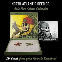 NASC Autoflowering Advent Calendar