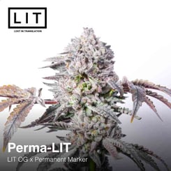 LIT Farms Perma-LIT