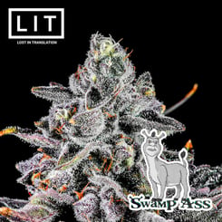 LIT Farms Swamp Ass