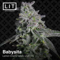 LIT Farms Babysita