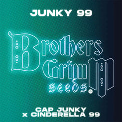 Brother's Grimm Junky 99