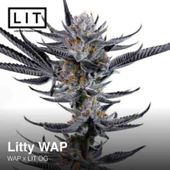 Lit Farms Litty WAP