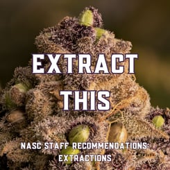 Extract This (Cannabis Seeds for Extractions)