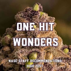 One Hit Wonders (Cannabis Seeds with High THC)