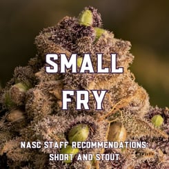 Small Fry (Short and Stout Strains)