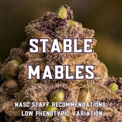 Stable Mables (Low PVI Strains)