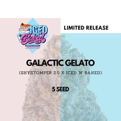 Mephisto Genetics > Galactic Gelato