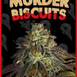 DIRTY BIRD GENETICS MURDER BISCUITS