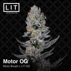 LIT Farms Motor OG