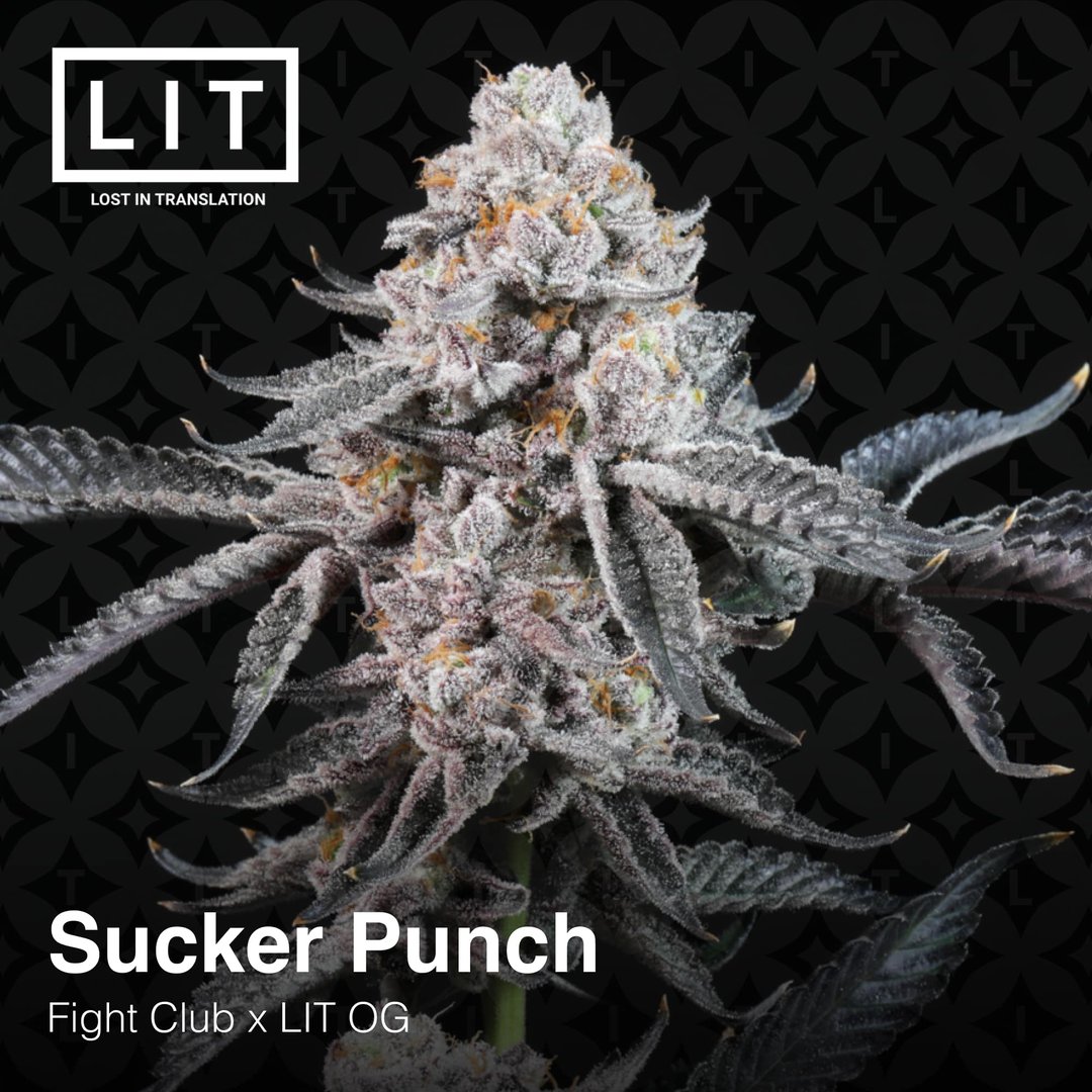 Lit Farms Sucker Punch