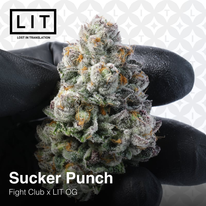 Lit Farms Sucker Punch