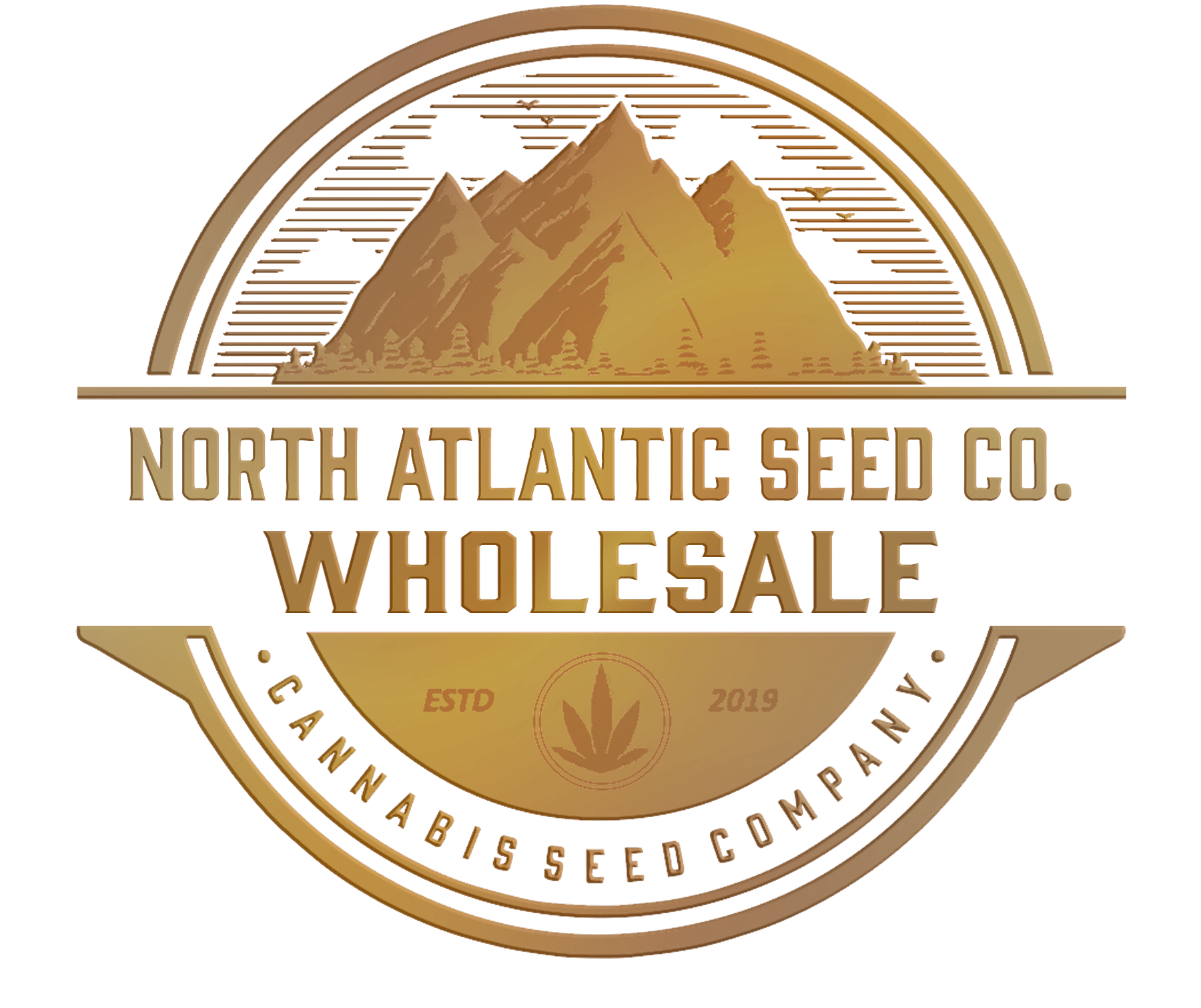 wholesale cannabis seeds