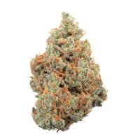 Happy Valley Genetics > Shortcut Auto cannabis seeds, marijuana seeds, weed seeds