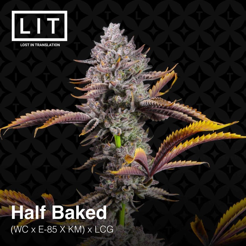 A close-up of a cannabis plant named "Half Baked (F) [7/10 drop]" with purple buds and green-yellow leaves, evoking the sleek and detailed aesthetics of Gran Turismo. The black background has a subtle pattern. Text on image includes "LIT" and strain genetics.