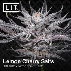 Close-up of a frosty, dense cannabis flower with trichomes visible, featuring a text overlay: "Lemon Cherry Salts [7/10 drop]". Get ready for the 7/10 drop!