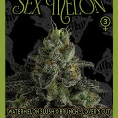 dirty bird genetics sex melon limited edition weed seeds cannabis seeds marijuana seeds