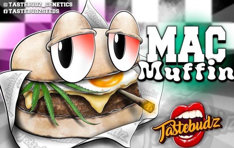 Tastebudz Mac Muffin