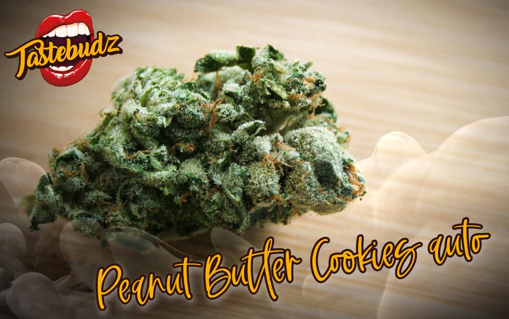 Peanut Butter Cookies Auto » Seeds, Tastebudz, Tastebudz Autoflowering
