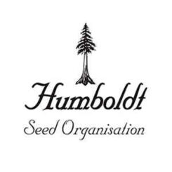 Humboldt Seed Organization Cinnamon Buddha OG