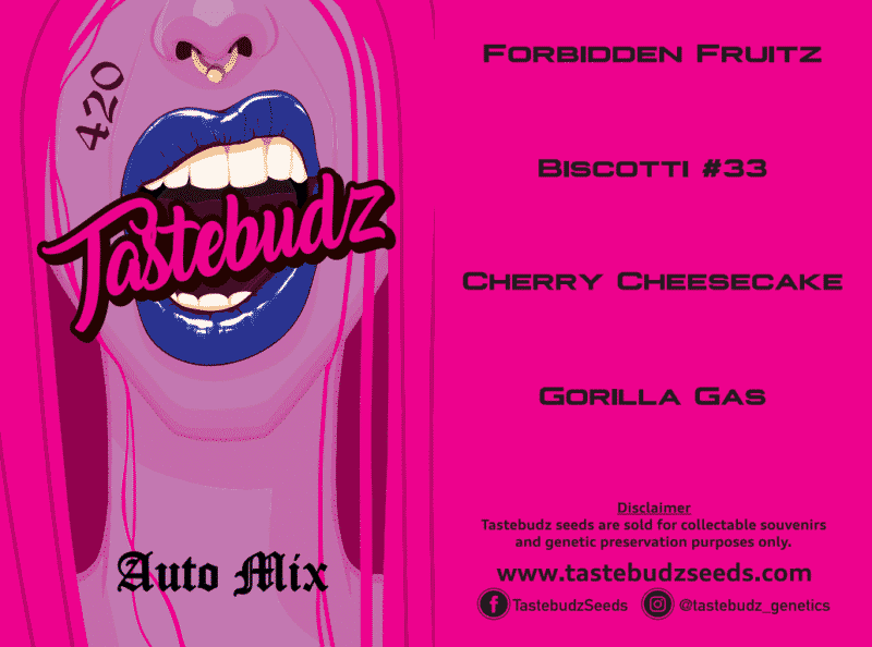 Tastebudz Auto Mix