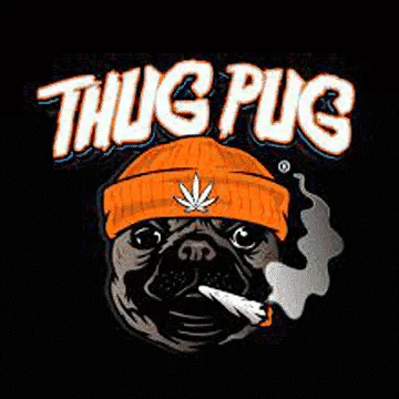 Thug Pug Logo cannabis seeds, marijuana seeds, weed seeds