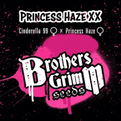 Brother's Grimm Princess Haze