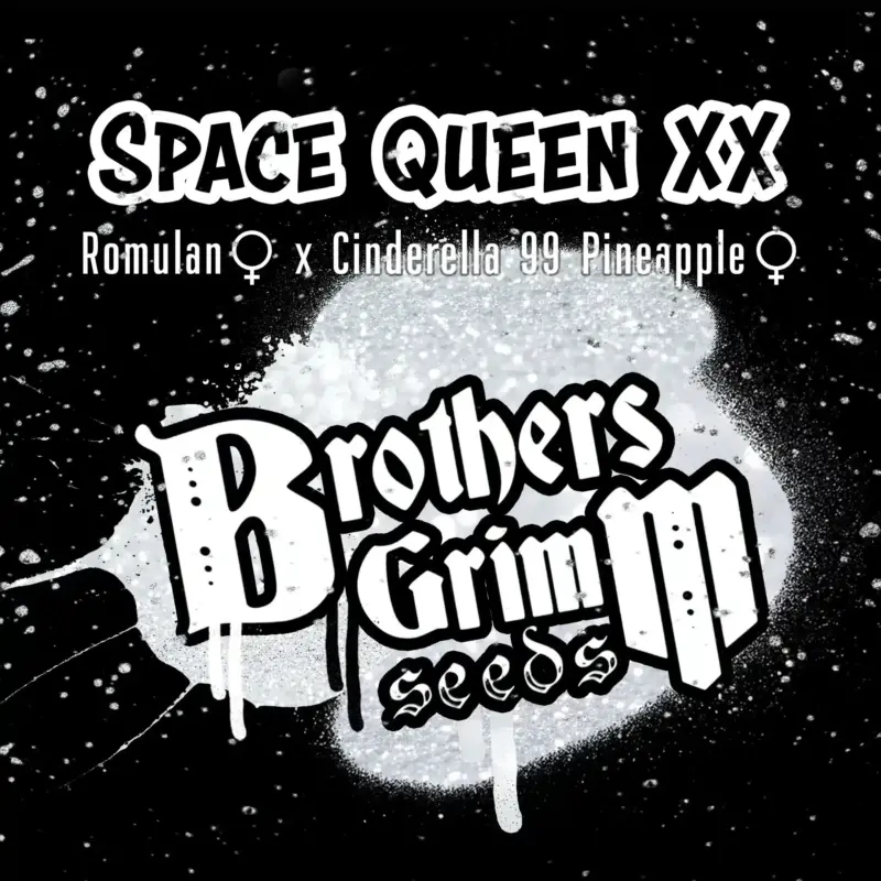 Brother's Grimm Space Queen XX