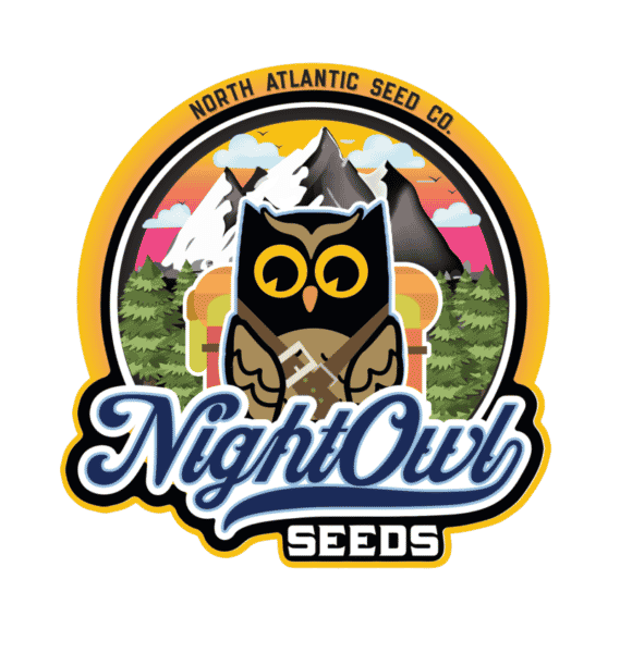 Night Owl Seeds's logo or representative image