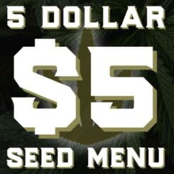 cheap seeds cheap cannabis dollar treez 5 dollar seed menu