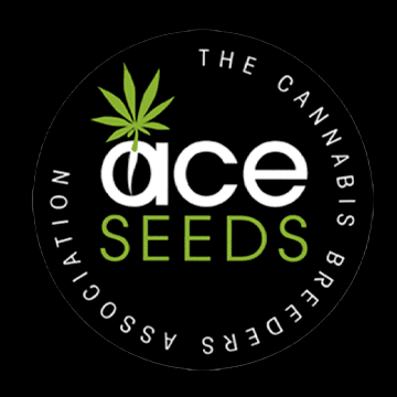 Ace Seeds - Autoflowering