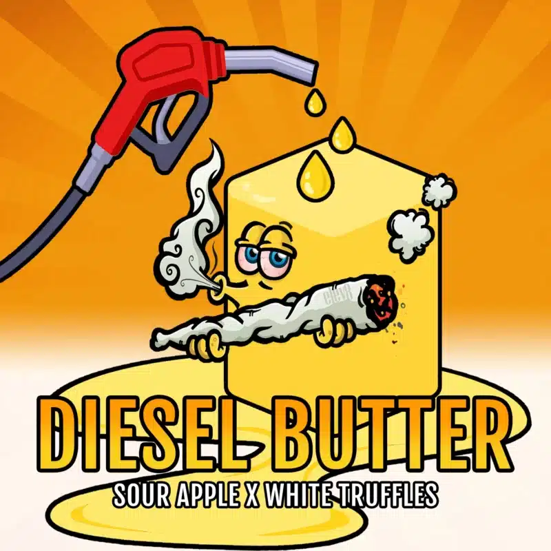 Elev8 Seeds Diesel Butter
