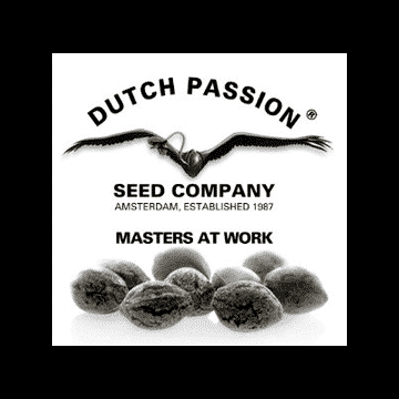 Dutch Passion - Photoperiod