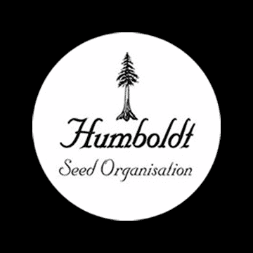 Humboldt Seed Organization - Autoflowering